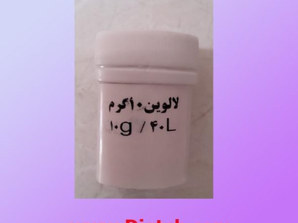 مخمر لالوین